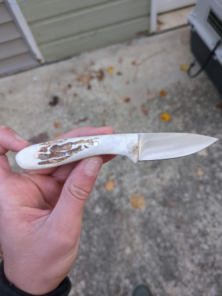 Selecting and cutting deer antlers